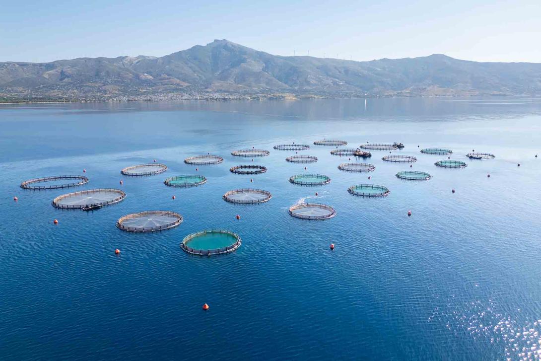 Μονάδα ιχθυοτροφείων της Blue Farm στη Νότια Εύβοια. 