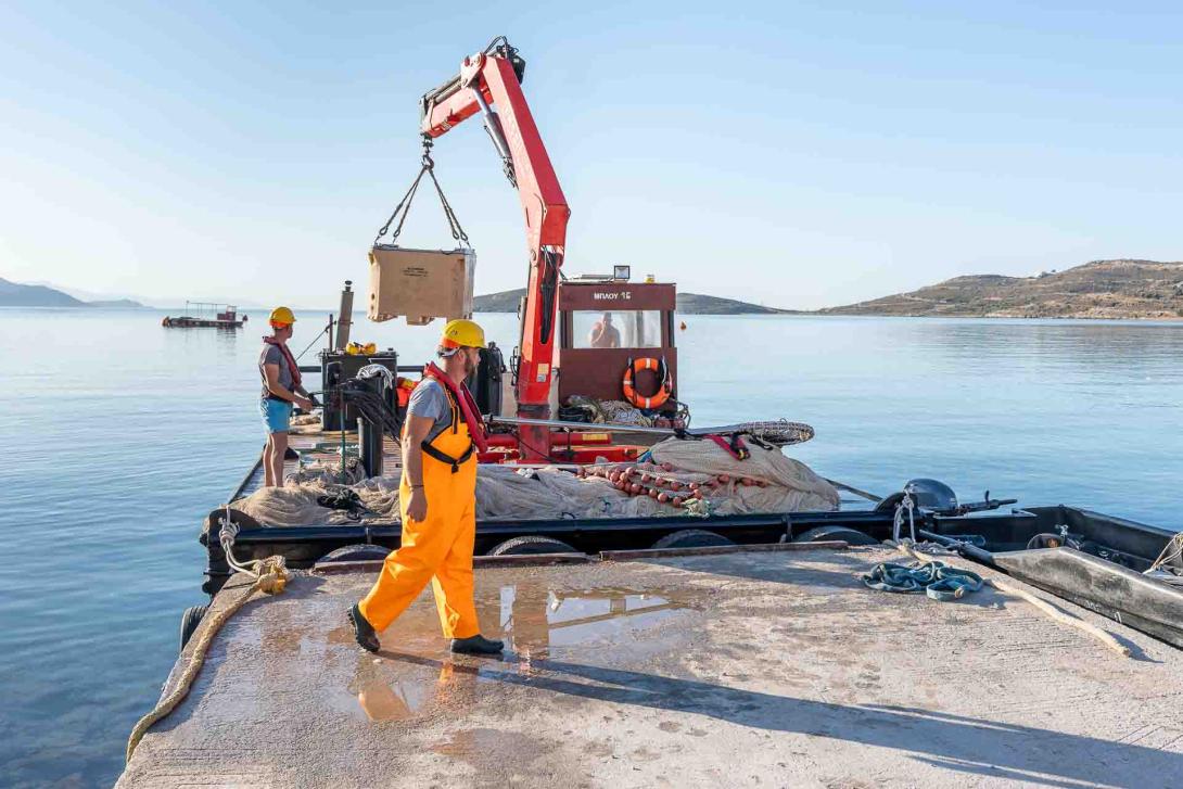 Η λειτουργία μας αποτελεί δέσμευση για αγνή παραγωγή.