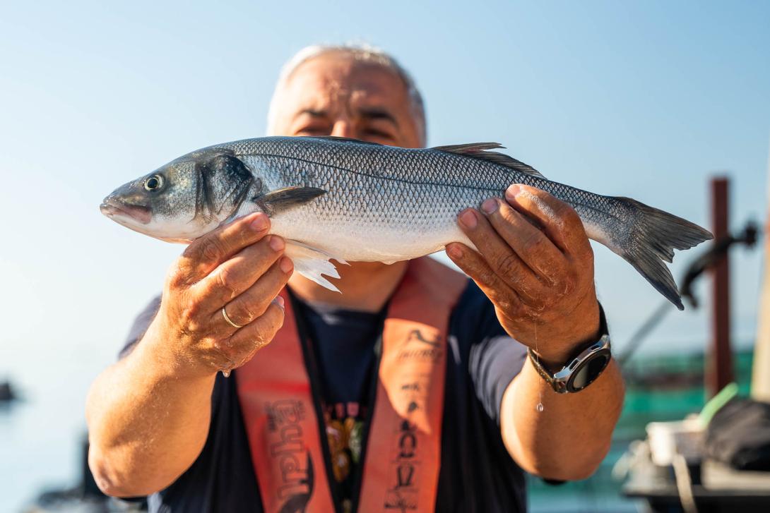 Εκτροφή ιχθύων βέλτιστης ποιότητας.